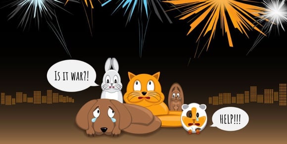 scared-pets-fireworks