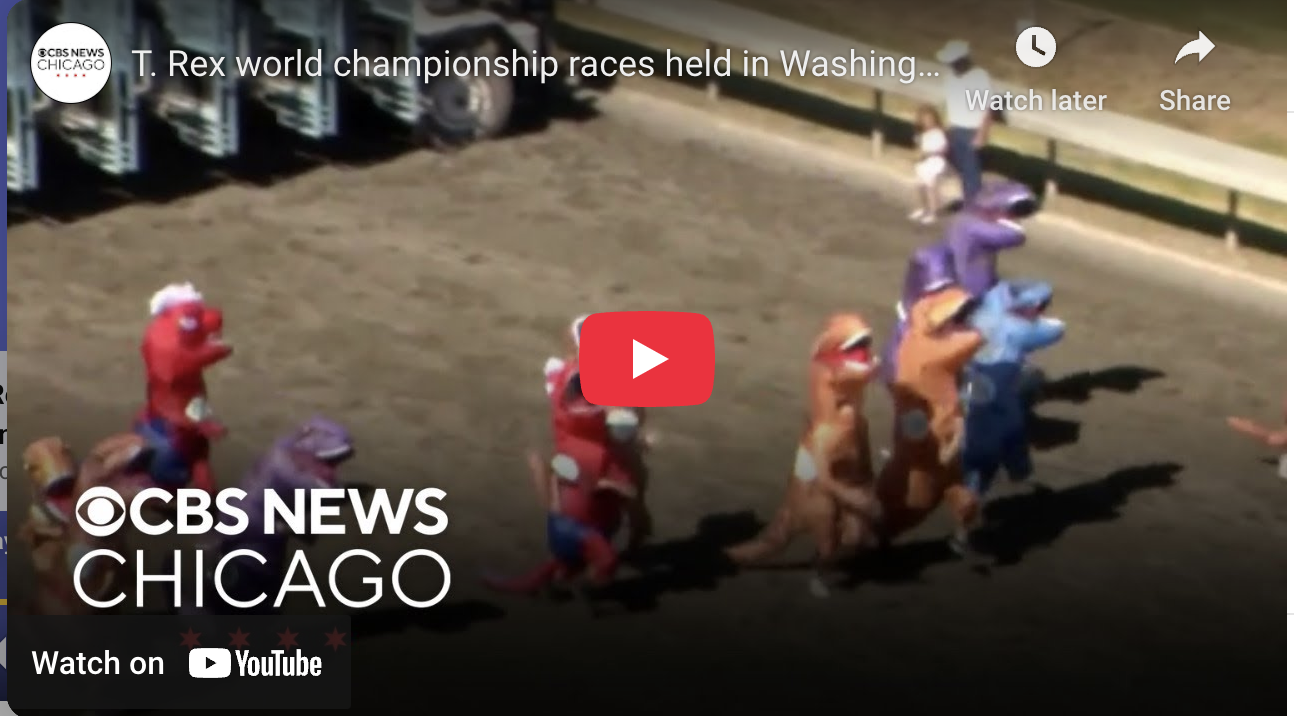 todd-youtube-july-11